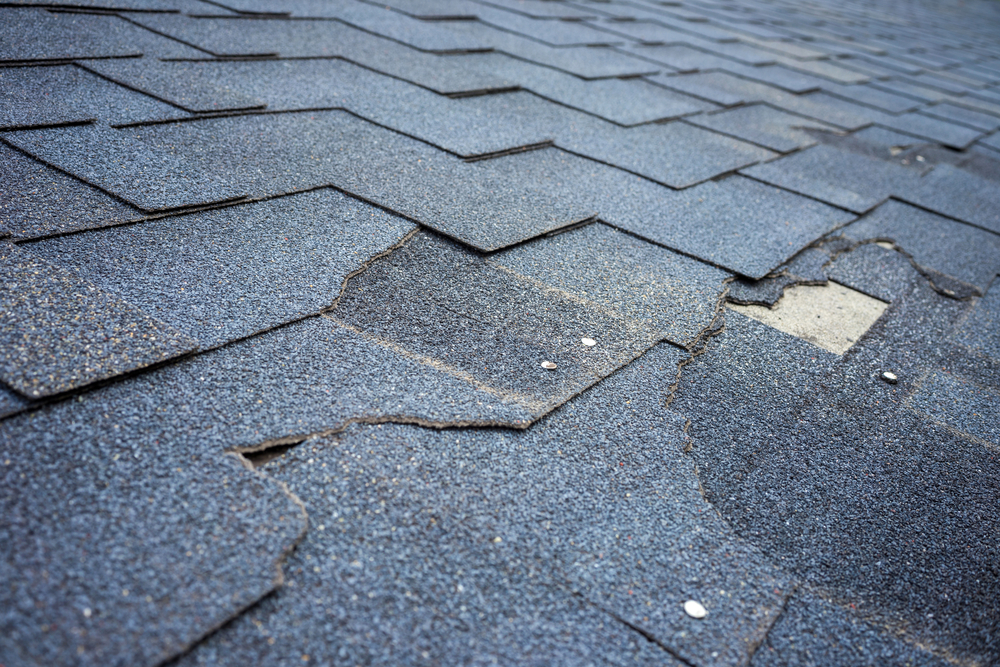 Сlose up view of asphalt shingles roof damage that needs repair.